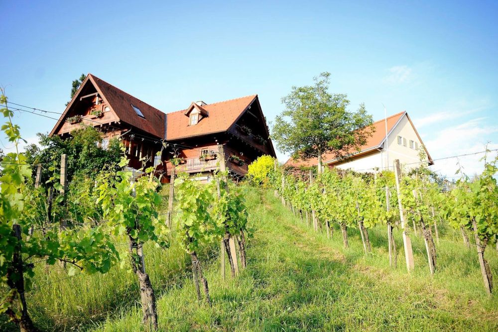 Weingut Söll - Natursuiten - Gamlitz / Sernau - Südsteiermark, Schilcherland & Lipizzanerheimat