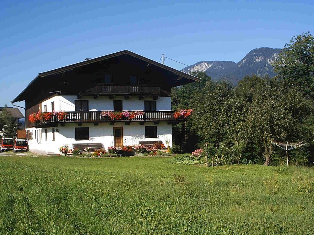 Appartement Kalkschmiedhof - Söll - Wilder Kaiser