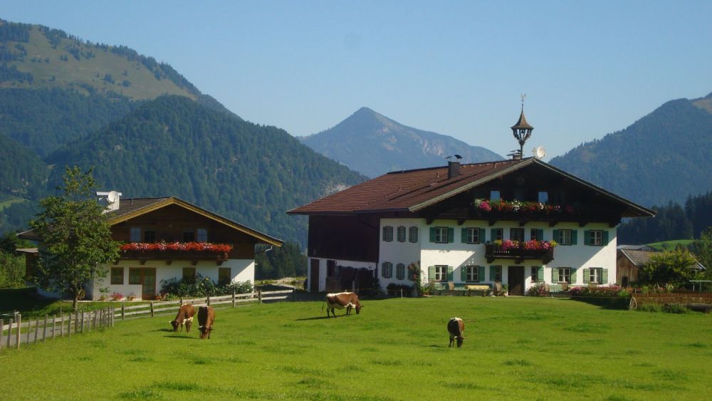 Bauernhof Ellmerer - Kössen - Kaiserwinkl